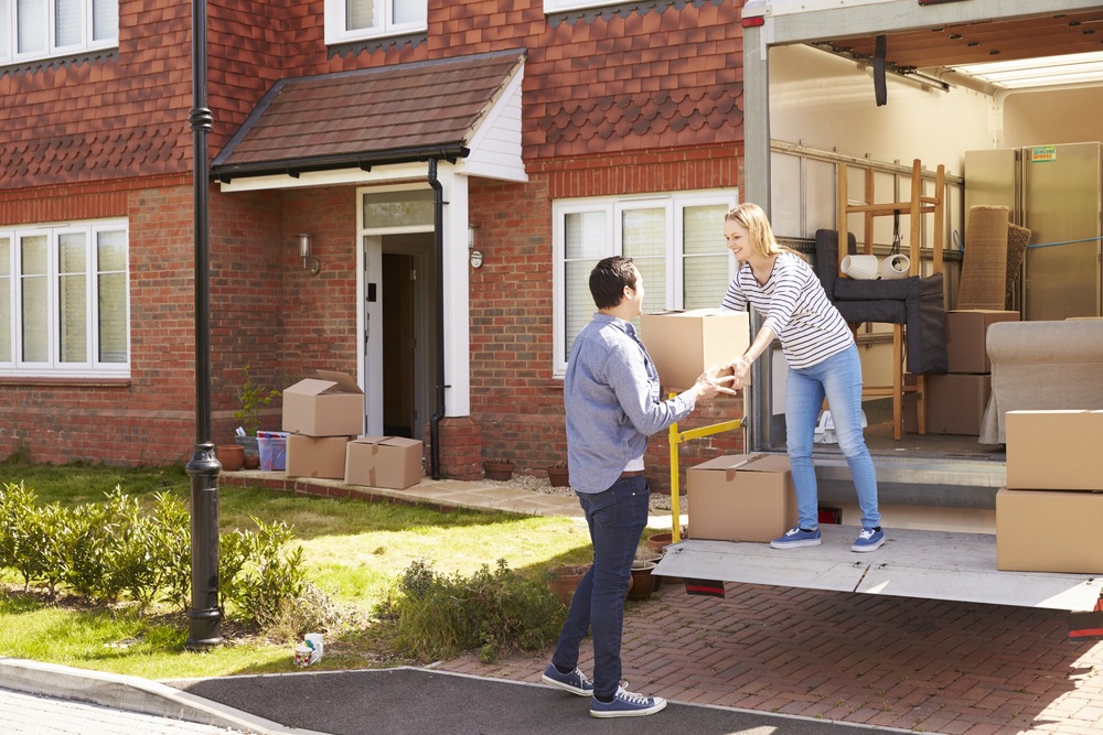 furniture removalist Newport